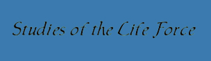 studies.jpg (11793 bytes)